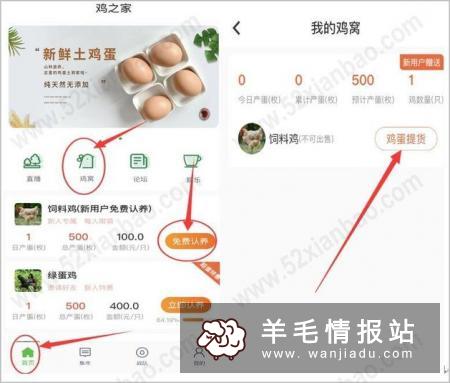 鸡之家，新用户下载APP领“饲料鸡”，每天产1枚蛋，价值1元 黄了