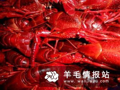 小龙虾微信挂机赚钱平台，每天挂机赚几元到几十元