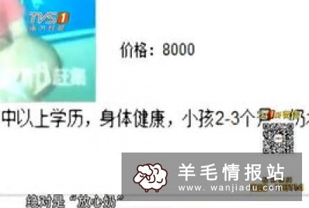 十大适合宝妈做的工作，多元化选择实现轻松赚钱