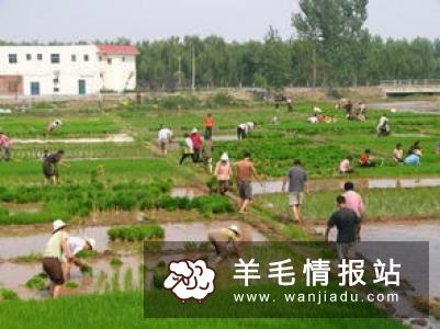 现在农村干什么能挣钱快 这几种人赚钱最快