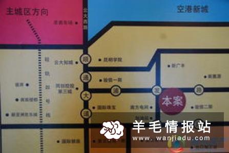 2019未来商机 电子商务平台成就梦想