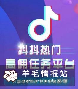 抖抖热门，抖音点赞赚钱任务平台，每天点赞一条赚1元