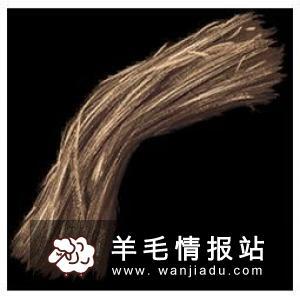 撸羊毛平台生存技巧 撸羊毛平台注意事项