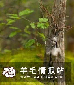 藏在农村不起眼的暴利,种养殖业的发展春天