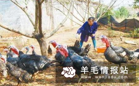 网络中有没有什么利润高不起眼的小生意