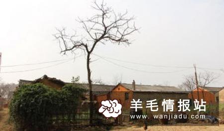 适合一个人干的小生意，不需要门面的生意