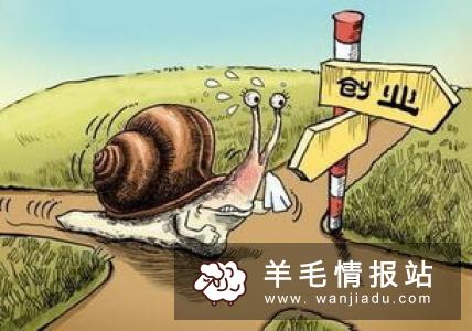 自己创业干点什么好？国外稀奇创业点子