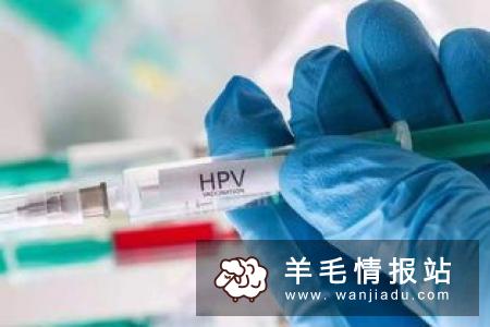 怎么能快速赚钱  网络时代有捷径可走