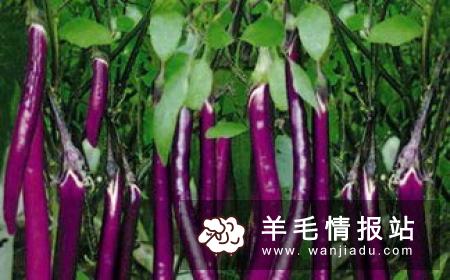 如何快速赚钱 穷人怎样才能快速赚钱
