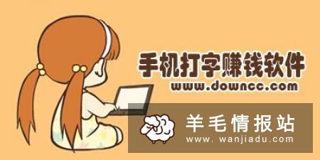 适合女性下班后的副业，顺丰输单员在家打码赚钱